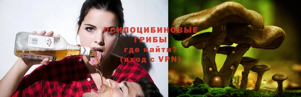 СК Надым