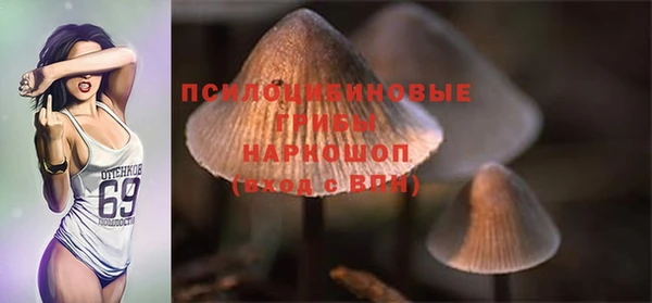СК Надым