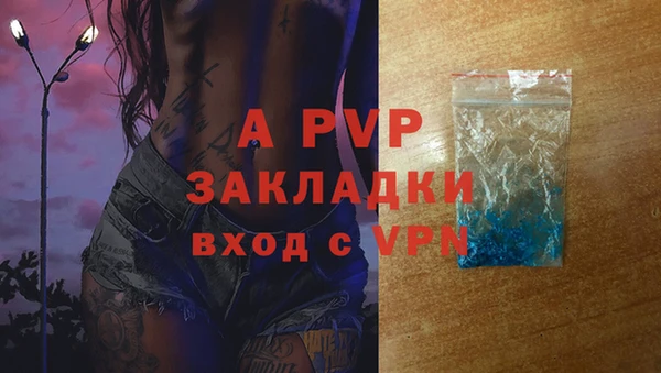 СК Надым